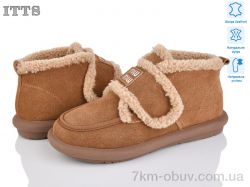 ITTS DX11-45 фото