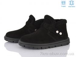 Jessica ZJ2315-2 фото