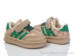 ASHIGULI 2022-3 фото