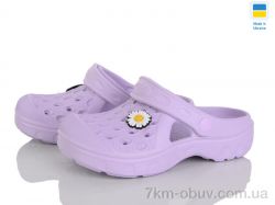 Golden Lion 327 фіолетовий фото