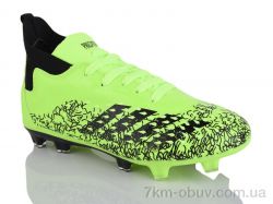 ASHIGULI 265V фото