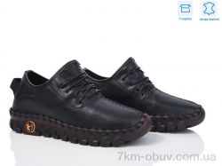 Захар-Gold 0T6-1 фото