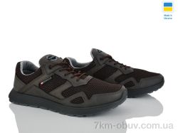 Paolla SP2 коричневий фото