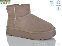 HENGJI-ELENA T54-3 фото