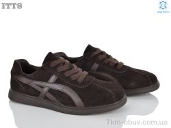 ITTS TB105-3 фото