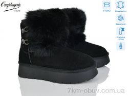 Dageni HA5889-1B фото