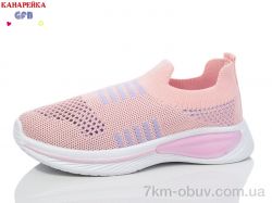 GFB-Канарейка X8030-5 фото