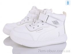 Victoria HY087-1 фото