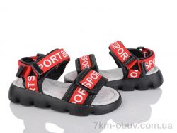 FG HL-B2008-4 фото