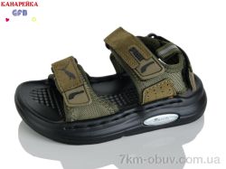 GFB-Канарейка T66-5 фото