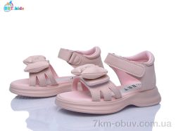 BBT L866-2-5 фото