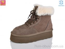 PLPS 5856 brown фото