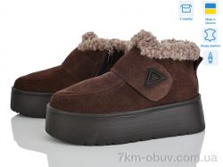 Stella EVA37 кор.з. фото