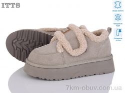 ITTS F251-17 фото