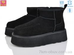 PLPS 5807-2 фото