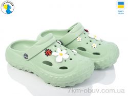 Jose Amorales 124054 зелений фото