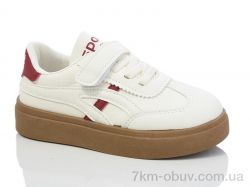 ASHIGULI 2017-2 фото