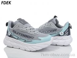 FDEK H9209-7 фото