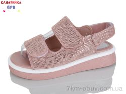 GFB-Канарейка R845-3 фото