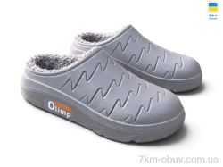 Rai shoes СМ22 сірий фото