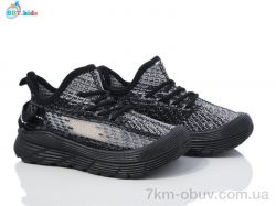 BBT F581-2-1 фото