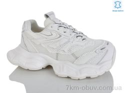 Teetspace-Trasta-Egga WDP2031-26 фото