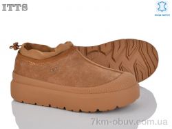 ITTS KT93-20 фото