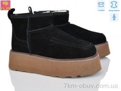 PLPS 5807-1 фото