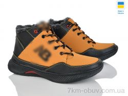 Paolla АБ11 рудий фото