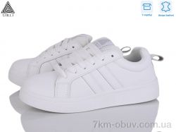 STILLI Group JH1000-1 шкіра фото