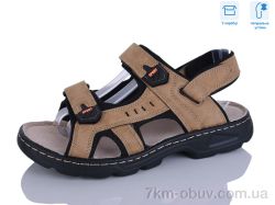 Hongquan F28-2 beige фото