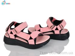 BBT L851-2-8 фото