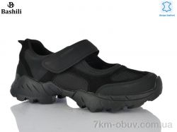 Башили H6582-2 фото