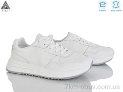 STILLI Group G160-3 шкіра фото