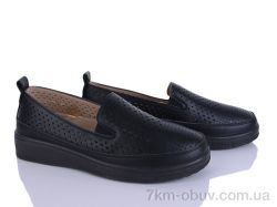 Lion-Lu 2024-18 фото