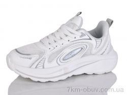 Ditof B0069-1 фото