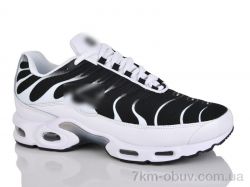 FED A1095-8 фото