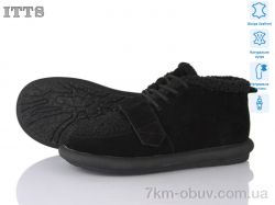 ITTS DX13-1 фото