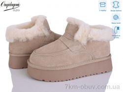 Dageni OQ011-3 фото