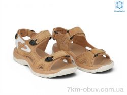 Allshoes 208353 фото