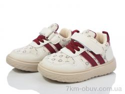 ASHIGULI 2025-3 фото