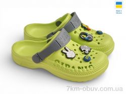 Rai shoes 009 салатовий фото