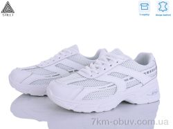 STILLI Group N360-5 шкіра фото