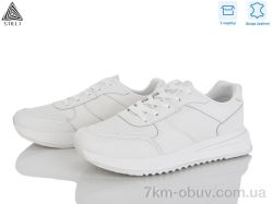 STILLI Group G170-2 шкіра фото