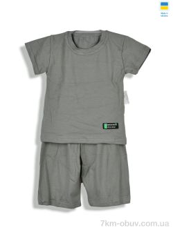 Kir15 11330 сірий фото