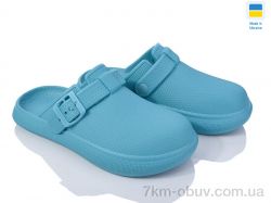 Golden Lion 421 аква фото