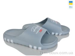 Inblue DS71 сірий фото