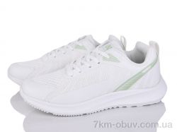 Захар-Gold 092-8 фото