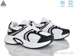 STILLI Group T30-8 шкіра фото