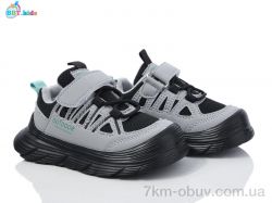 BBT H509-2-3 фото